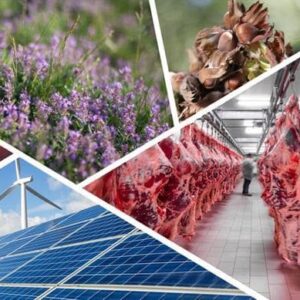 1 Year/Hibe Ve Fon Danışmanlığı